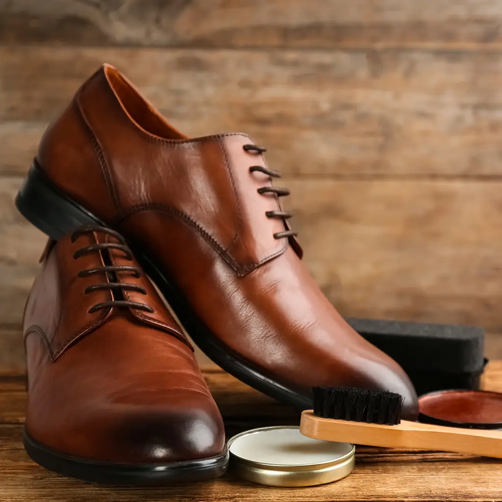 Schuhe mit Schuhpflege